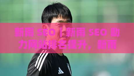 新雨 SEO｜新雨 SEO 助力网站排名提升，新雨 SEO 打造精准流量，新雨 SEO 实现长效优化