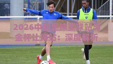 2026中超足球买球站与金杯让球站：深度解析与风险警示