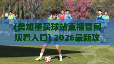 (美加墨买球站直播官网观看入口) 2026最新攻略：安全直达渠道与避坑指南
