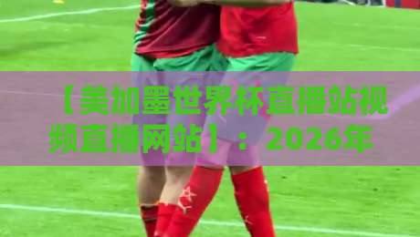 【美加墨世界杯直播站视频直播网站】：2026年观赛指南，这些平台让你不错过每一脚