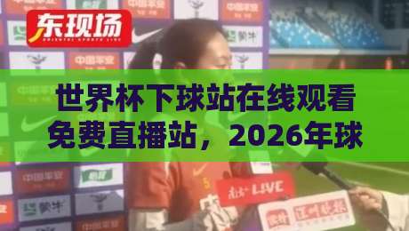 世界杯下球站在线观看免费直播站，2026年球迷必备的观赛神器！