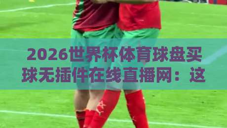 2026世界杯体育球盘买球无插件在线直播网：这届球迷的观赛新姿势