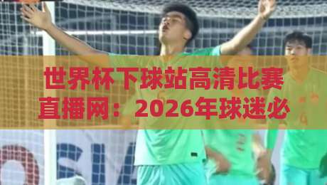世界杯下球站高清比赛直播网：2026年球迷必备的观赛新选择！