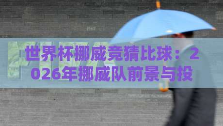 世界杯挪威竞猜比球：2026年挪威队前景与投注策略全解析