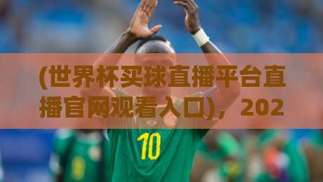 (世界杯买球直播平台直播官网观看入口)，2026年观赛新选择？别踩坑了哈！