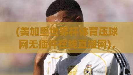 (美加墨世界杯体育压球网无插件在线直播网),2026球迷必备的观赛指南 (美加墨世界杯体育压球网无插件在线直播网),2026球迷必备的观赛指南