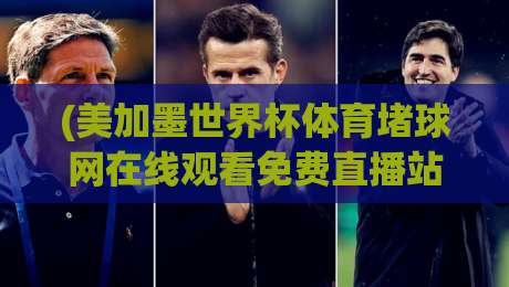 (美加墨世界杯体育堵球网在线观看免费直播站)：2026球迷必备的免费观赛指南