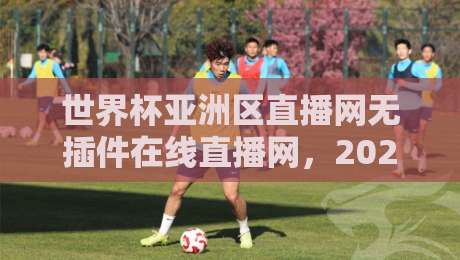 世界杯亚洲区直播网无插件在线直播网,2026亚洲球队观赛神器(世界杯亚洲区直播网) 世界杯亚洲区直播网无插件在线直播网,2026亚洲球队观赛神器(世界杯亚洲区直播网)