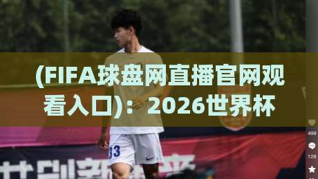 (FIFA球盘网直播官网观看入口)：2026世界杯观赛必备通道，你准备好了吗？