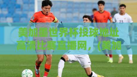 美加墨世界杯投球地址高清比赛直播网，(美加墨世界杯)2026观赛必备攻略！