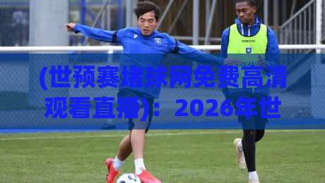 (世预赛堵球网免费高清观看直播)：2026年世预赛观赛指南，免费高清不堵车