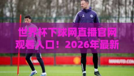 世界杯下球网直播官网观看入口！2026年最新观赛指南与避坑攻略