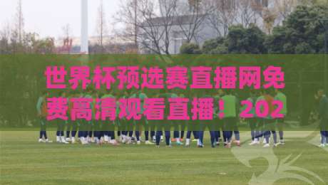 世界杯预选赛直播网免费高清观看直播!2026年观赛新姿势,你get了吗? 世界杯预选赛直播网免费高清观看直播!2026年观赛新姿势,你get了吗?