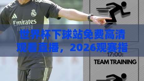 世界杯下球站免费高清观看直播，2026观赛指南与避坑要点（世界杯）