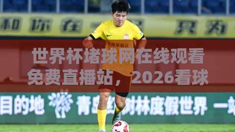 世界杯堵球网在线观看免费直播站,2026看球别乱点! 世界杯堵球网在线观看免费直播站,2026看球别乱点!