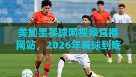 美加墨买球网视频直播网站,2026年看球到底该怎么选? 美加墨买球网视频直播网站,2026年看球到底该怎么选?