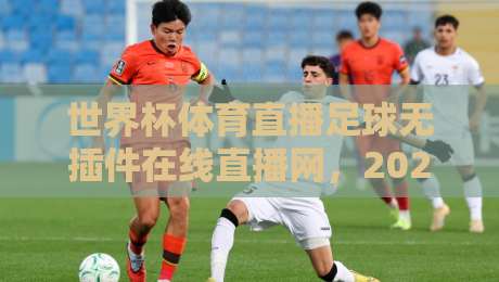 世界杯体育直播足球无插件在线直播网，2026看球新姿势？