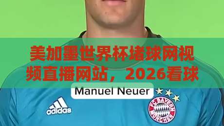 美加墨世界杯堵球网视频直播网站,2026看球别乱点!实测靠谱平台与避坑指南 美加墨世界杯堵球网视频直播网站,2026看球别乱点!实测靠谱平台与避坑指南