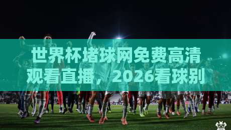 世界杯堵球网免费高清观看直播,2026看球别走弯路! 世界杯堵球网免费高清观看直播,2026看球别走弯路!