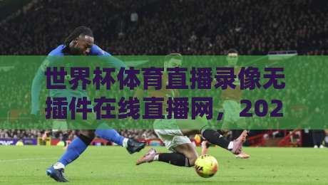 世界杯体育直播录像无插件在线直播网，2026看球还得靠它？