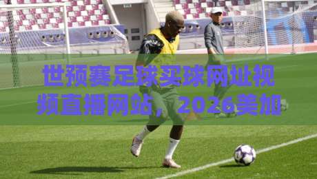 世预赛足球买球网址视频直播网站,2026美加墨征程怎么看最稳? 世预赛足球买球网址视频直播网站,2026美加墨征程怎么看最稳?