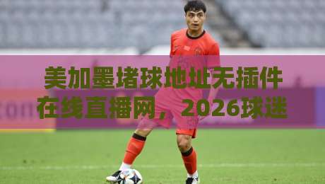 美加墨堵球地址无插件在线直播网,2026球迷必备的免费观赛入口! 美加墨堵球地址无插件在线直播网,2026球迷必备的免费观赛入口!
