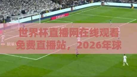 世界杯直播网在线观看免费直播站，2026年球迷必备的观赛指南与实际体验分享