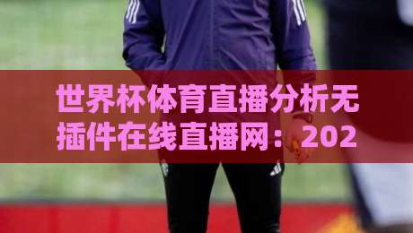 世界杯体育直播分析无插件在线直播网：2026观赛新姿势，你要的干货全在这