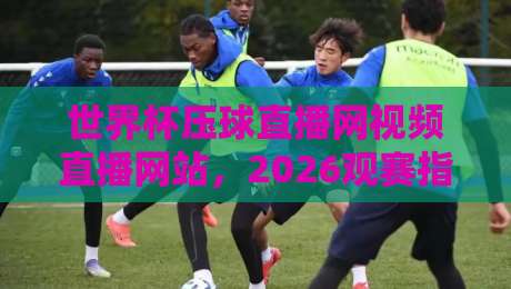 世界杯压球直播网视频直播网站，2026观赛指南与避坑手册