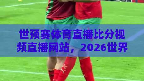 世预赛体育直播比分视频直播网站，2026世界杯之路我们该去哪看？