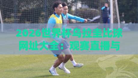 2026世界杯乌拉圭比球网址大全:观赛直播与比分追踪指南 2026世界杯乌拉圭比球网址大全:观赛直播与比分追踪指南