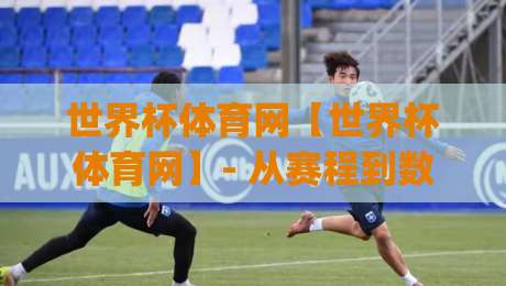 世界杯体育网【世界杯体育网】- 从赛程到数据：2026年球迷都在用的世界杯体育网新体验|网上热门娱乐网4K俱乐部中水入口无解说半场波胆