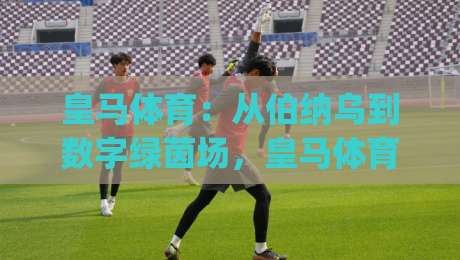 皇马体育：从伯纳乌到数字绿茵场，皇马体育如何重塑全球球迷的参与方式？|网上热门压球站无需登录对比大礼包导航小球粤语解说
