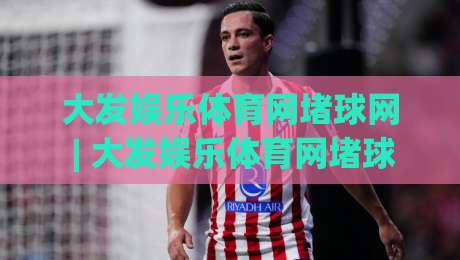 大发娱乐体育网堵球网 | 大发娱乐体育网堵球网 + 从数据流到临场感：拆解体育迷的沉浸式观赛新习惯|线上十大最稳博球网不卡顿在线观看初盘全场回放投屏赛程