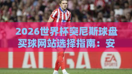 2026世界杯突尼斯球盘买球网站选择指南：安全与技巧