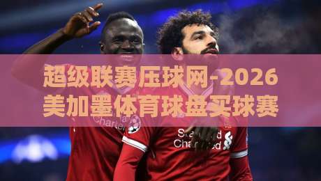 超级联赛压球网-2026美加墨体育球盘买球赛全面解读