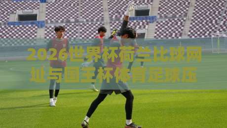 2026世界杯荷兰比球网址与国王杯体育足球压球攻略