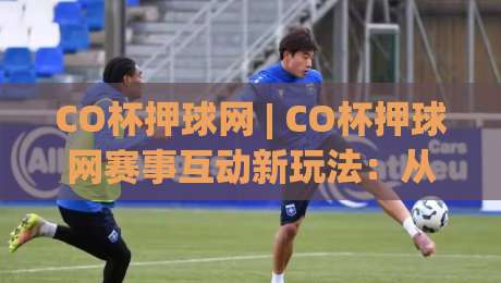 CO杯押球网 | CO杯押球网赛事互动新玩法：从数据看台到社群共鸣的2026进阶之路|最大权威网页下球网单双盘独赢波胆盘大球分析走地