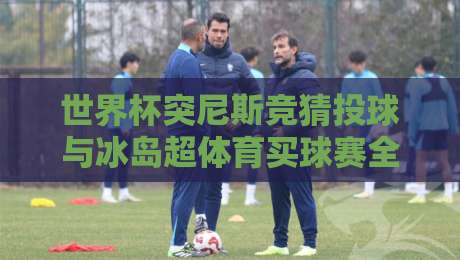 世界杯突尼斯竞猜投球与冰岛超体育买球赛全攻略