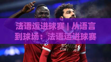 法语运进球赛 | 从语言到球场：法语运进球赛的实战节奏与场景化预判|最大权威网页博球站蓝光低水无需注册观看解说让球盘