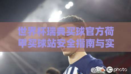 世界杯瑞典买球官方荷甲买球站安全指南与实用分析 世界杯瑞典买球官方荷甲买球站安全指南与实用分析