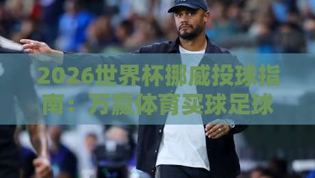 2026世界杯挪威投球指南：万赢体育买球足球体育平台推荐