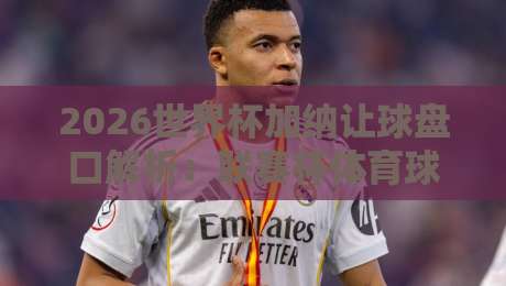 2026世界杯加纳让球盘口解析：联赛杯体育球盘进球策略