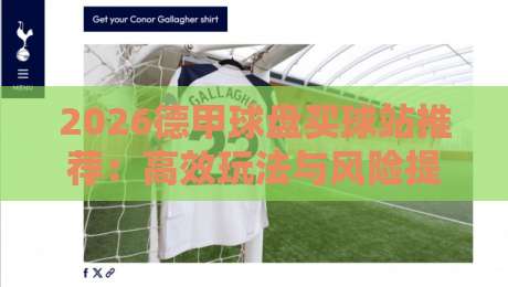 2026德甲球盘买球站推荐：高效玩法与风险提示全攻略