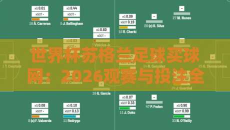 世界杯苏格兰足球买球网:2026观赛与投注全攻略 世界杯苏格兰足球买球网:2026观赛与投注全攻略