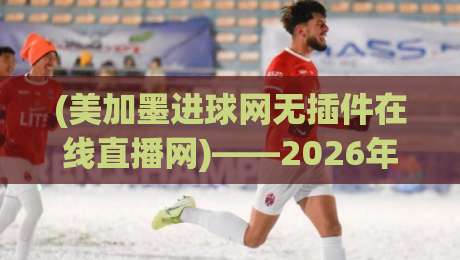 (美加墨进球网无插件在线直播网)——2026年看世界杯预选赛的终极选择，无插件免安装，球迷都懂