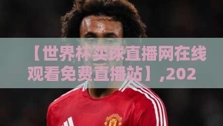【世界杯买球直播网在线观看免费直播站】,2026年观赛新选择！