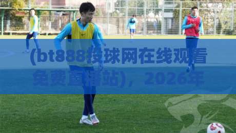 (bt888投球网在线观看免费直播站)，2026年实测：到底值不值得看？