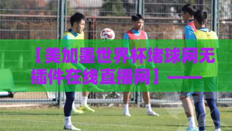 【美加墨世界杯堵球网无插件在线直播网】——2026年观赛神器，一网打尽所有精彩