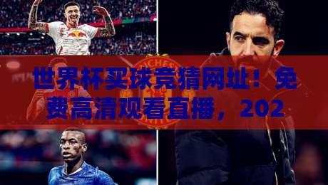 世界杯买球竞猜网址！免费高清观看直播，2026年球迷必备攻略